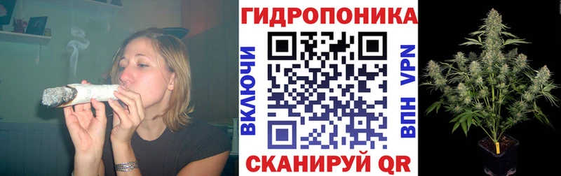 Шишки марихуана VHQ  Купить закладки  Сковородино 